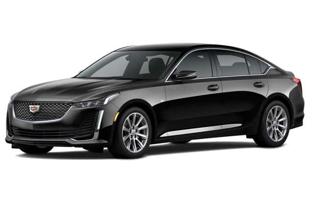 Cadillac sedan for executive chauffeur service